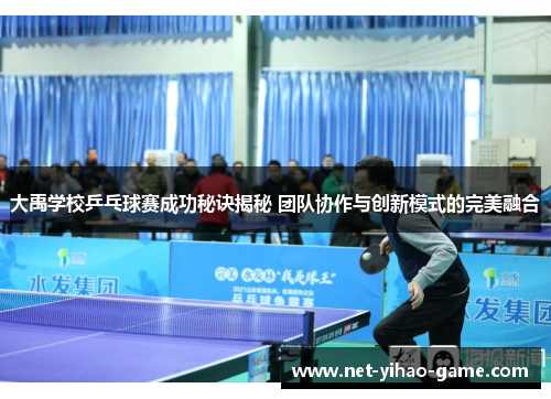 大禹学校乒乓球赛成功秘诀揭秘 团队协作与创新模式的完美融合