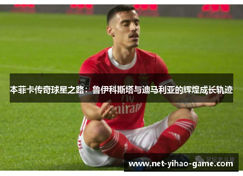 本菲卡传奇球星之路：鲁伊科斯塔与迪马利亚的辉煌成长轨迹