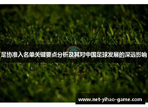 足协准入名单关键要点分析及其对中国足球发展的深远影响