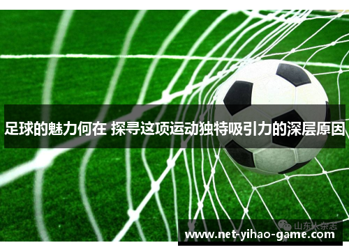 足球的魅力何在 探寻这项运动独特吸引力的深层原因