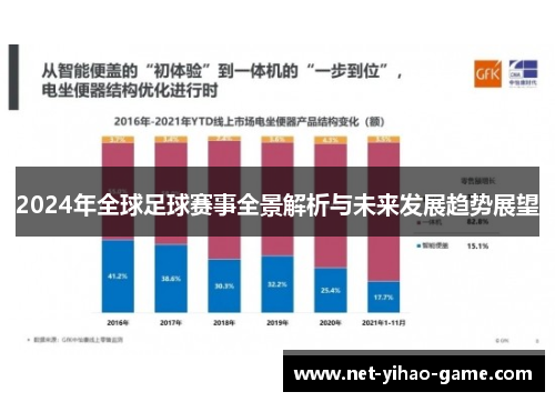2024年全球足球赛事全景解析与未来发展趋势展望