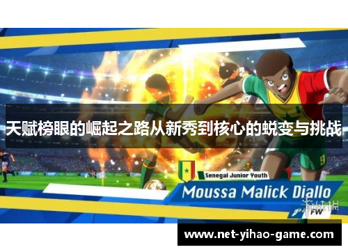 天赋榜眼的崛起之路从新秀到核心的蜕变与挑战