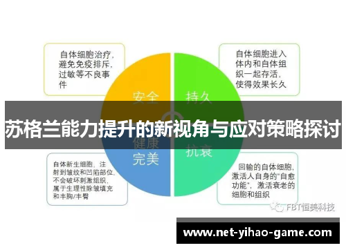 苏格兰能力提升的新视角与应对策略探讨