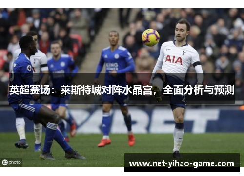英超赛场：莱斯特城对阵水晶宫，全面分析与预测
